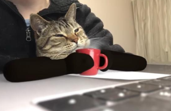猫咪打瞌睡被恶搞成大老板，厌世样子像极我平时上班！