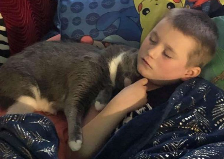 男孩统合失调情绪崩溃 暖猫蹭蹭安慰超治愈！