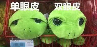 火到国外，主人给猫咪割双眼皮的事情，网友大呼心疼