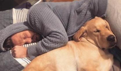 你有听过导盲犬吗？ 它们在成为导盲犬之前是怎样的生活的