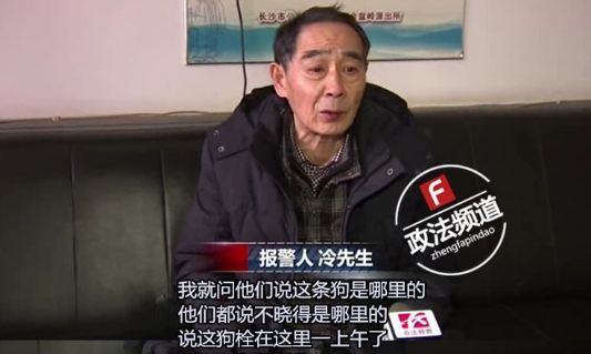 长沙芙蓉路咬人金毛被民警用木棒打死虐狗事件,官方辟谣事件全过程 长沙芙蓉路咬人金毛被民警用木棒打死虐狗事件,官方辟谣事件全过程