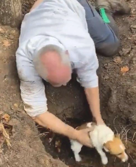 爱犬失踪 小伙瘋狂找寻 相逢时他哭得像个小朋友一样