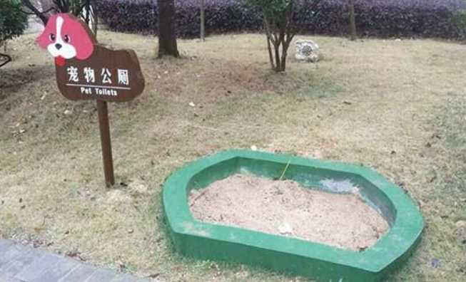 小区为宠物建公厕 网友:再也不担心“狗屎运” 小区为宠物建公厕 网友:再也不担心“狗屎运”