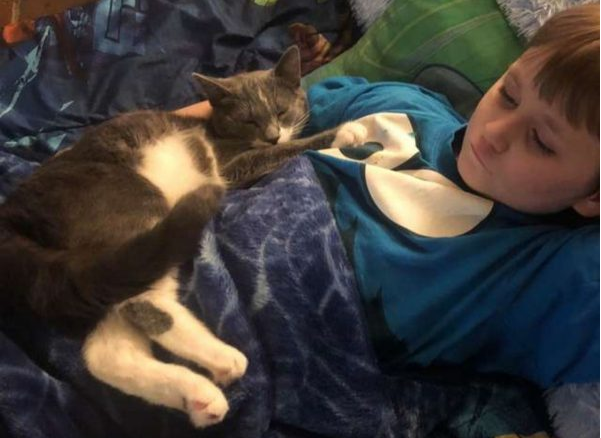 男孩统合失调情绪崩溃 暖猫蹭蹭安慰超治愈！