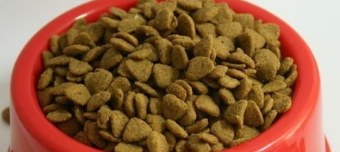 超市中常见的宝路狗粮怎么样?详细介绍看一下~ 超市中常见的宝路狗粮怎么样?详细介绍看一下~