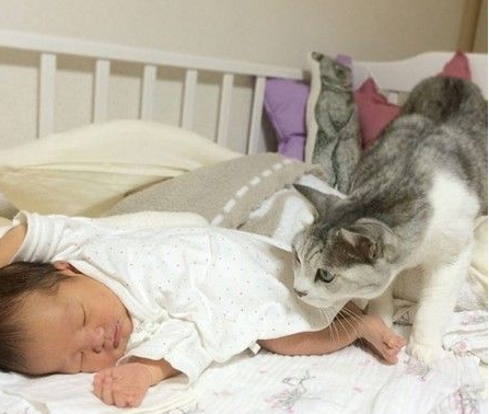 15岁猫哥哥自从妹妹出生 变身超温柔称职保姆 15岁猫哥哥自从妹妹出生 变身超温柔称职保姆