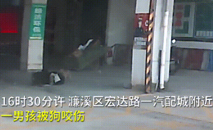 黑狗拽倒男孩后撕咬，伤口有硬币大小：“肉都没有了”