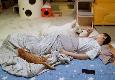 主人陪猫咪狗狗睡一晚,猫狗黏人差异立现:狗狗半夜还讨摸摸! 主人陪猫咪狗狗睡一晚,猫狗黏人差异立现:狗狗半夜还讨摸摸!