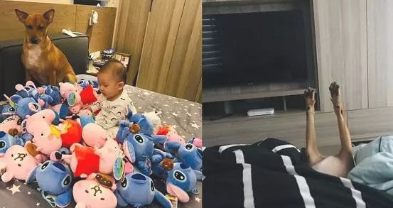 狗狗阿姨带小孩子，第二天入睡跟丧尸一样，腿直直抬起
