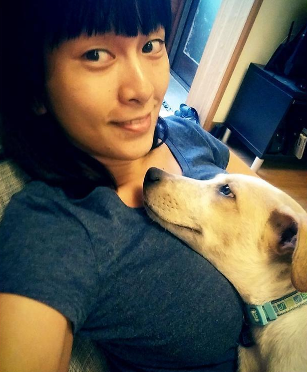 宠物深情地凝视着主人照片，温暖着所有人的心
