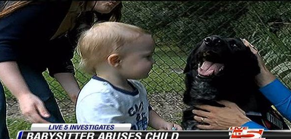 美国发生一件保姆虐童案 忠犬狂吠揭发恶行 美国发生一件保姆虐童案 忠犬狂吠揭发恶行