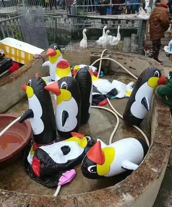 动物园里以狗充狼 网友直呼：能不能不要欺骗我们