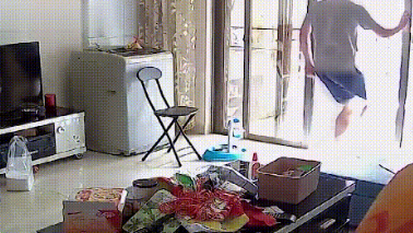 准研究生借宿期间，趁主人不在家，虐打博美犬致坐骨断裂