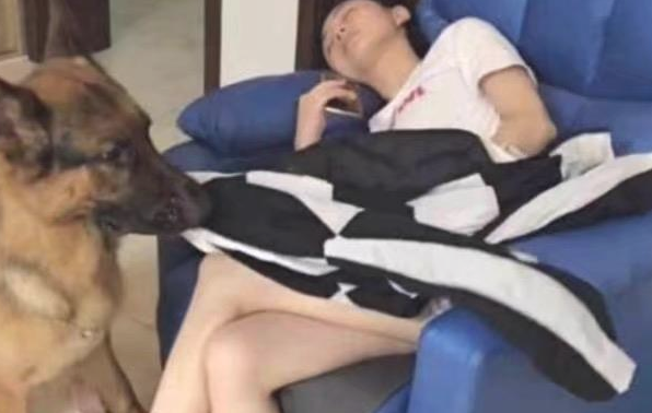 狗狗趁漂亮美女入睡做这样的事情,男朋友见到后一脸难堪,网民:真贴心 狗狗趁漂亮美女入睡做这样的事情,男朋友见到后一脸难堪,网民:真贴心