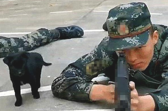 小奶狗趁酷帅士兵不留意,竟悄悄跑来亲脸蛋儿,还趴到其腿上打瞌睡 小奶狗趁酷帅士兵不留意,竟悄悄跑来亲脸蛋儿,还趴到其腿上打瞌睡