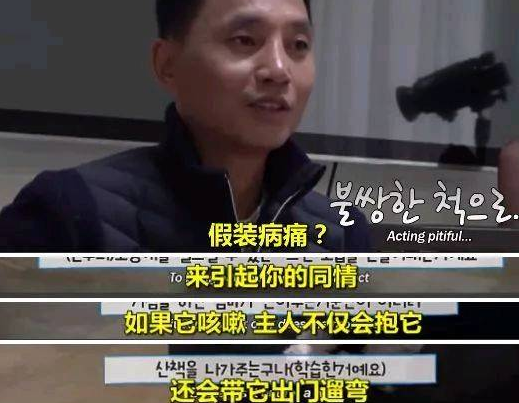 你知道你的狗子为了出去玩 有多拼吗? 你知道你的狗子为了出去玩 有多拼吗?