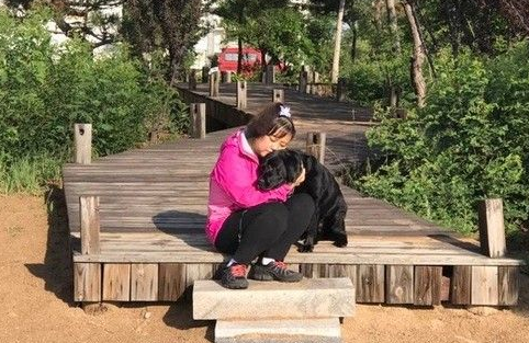 大陆导盲犬珍妮服务8年后退休 陪伴养老的新主人 大陆导盲犬珍妮服务8年后退休 陪伴养老的新主人