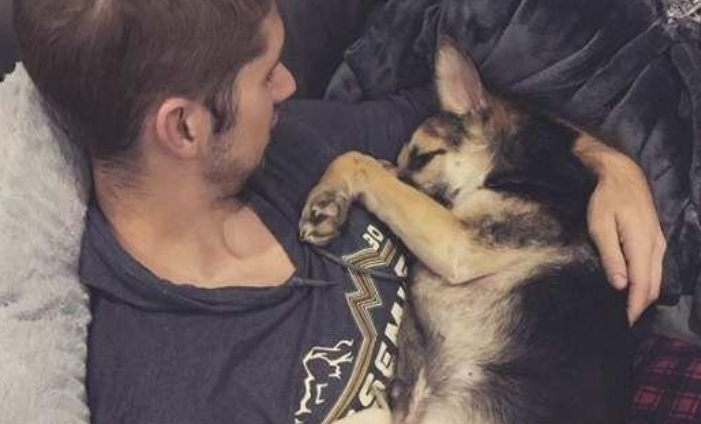 流浪犬困在电杆下,积极伸出手恳求协助,最后获得了幸福的生活 流浪犬困在电杆下,积极伸出手恳求协助,最后获得了幸福的生活
