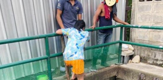 流浪狗为觅食误入桥洞，路人无动于衷，直到一个女孩出现
