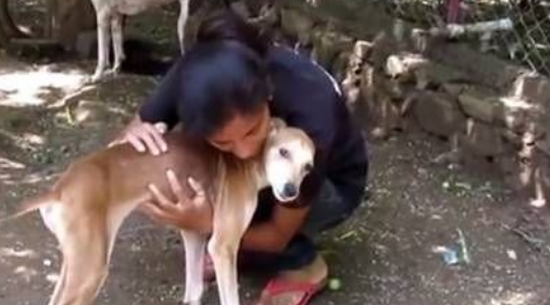 连苍蝇都觉它死了 社工用爱救回它