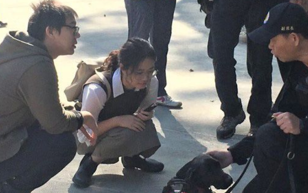 台中花博开幕有警犬与骑警进驻维安 成特殊亮点 台中花博开幕有警犬与骑警进驻维安 成特殊亮点