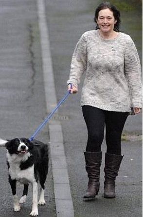 牧羊犬突然发狂扑倒主人 竟是为了挽救主人 牧羊犬突然发狂扑倒主人 竟是为了挽救主人