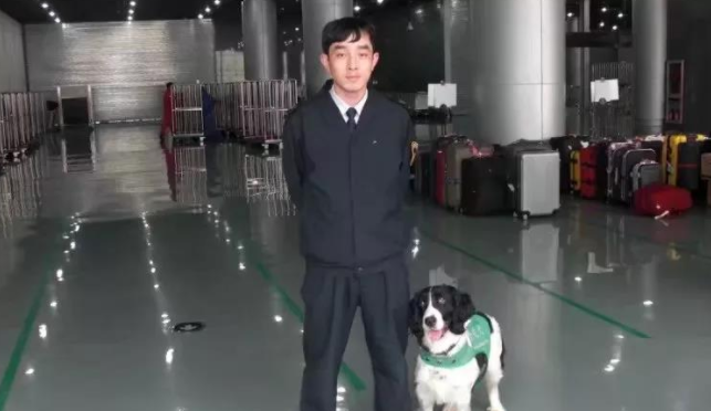 从流浪犬到军犬，尼克斯的逆袭之路经典励志！