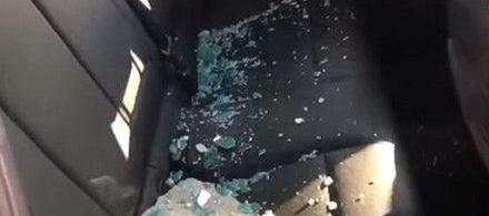 白发路人甲怒砸宝马 只是因为救出被困小狗