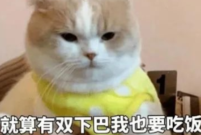 如果猫不喜欢它的食物，它会饿死自己吗？