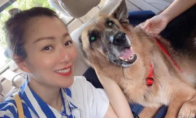 郑秀文爱犬Lucky离世，她在狗狗晚年做的事，很多人都做不到