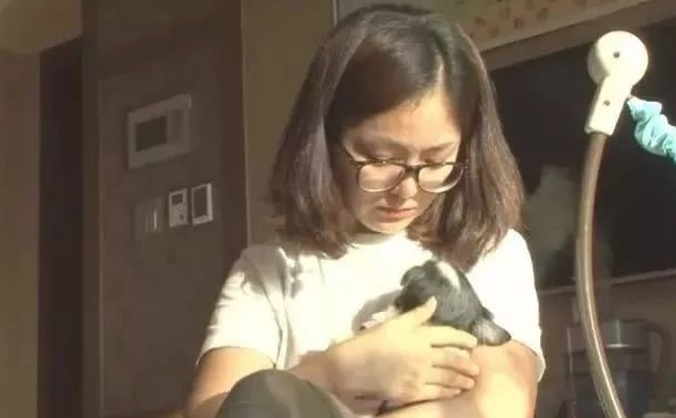 狗狗被遗弃,独守旧宅6年,主人家回家却被遗弃