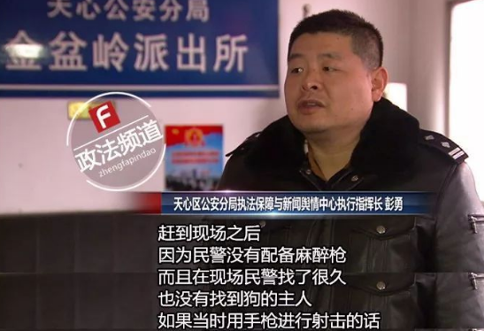 长沙芙蓉路咬人金毛被民警用木棒打死虐狗事件,官方辟谣事件全过程 长沙芙蓉路咬人金毛被民警用木棒打死虐狗事件,官方辟谣事件全过程