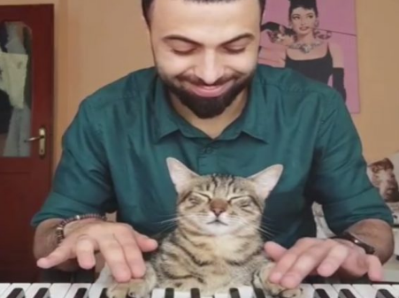 主人弹琴它眯眼享受琴声 这只钢琴猫也太陶醉了吧