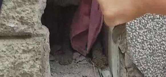小猫翘家卡石缝内 屋主超佛心同意拆墙救猫