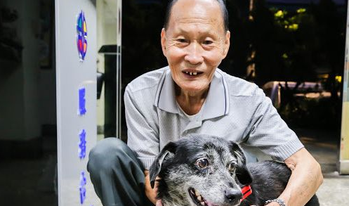 台湾一86岁老人寻回走丢的饲养了10年之久的宠物犬 台湾一86岁老人寻回走丢的饲养了10年之久的宠物犬