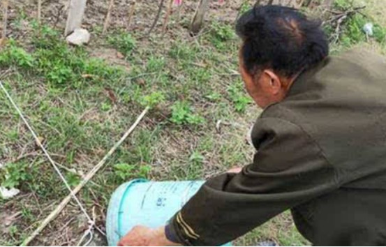 男子回家发现一只长相凶恶的老鼠 上网查惊了:身价超高 男子回家发现一只长相凶恶的老鼠 上网查惊了:身价超高