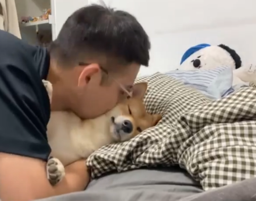 面对主人狂吻，柴犬一脸生无可恋！但有的狗狗并不喜欢亲吻拥抱