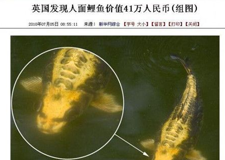 湖南发现罕见“人面鲤鱼” 更是有鼻子有眼