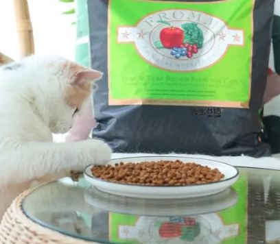 福摩猫粮哪个口味比较好 福摩猫粮哪个口味比较好