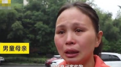 6岁男童被狗咬身亡获赔78万 却遭被告人不服上诉