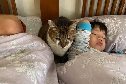 想和你一起慢慢变老，爱猫养20年痴呆，忘记怎么走路！