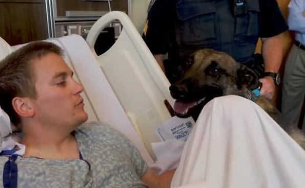 警犬3天不见搭档，激动得一直想扑上去！