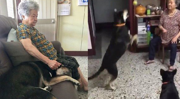 米克斯在阿婆家住半年 从少女变成了大婶