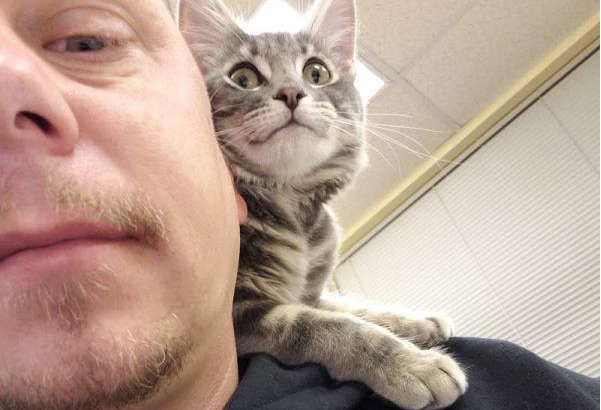 警官解救被当诱誀的小猫 却意外钟情成另类警猫