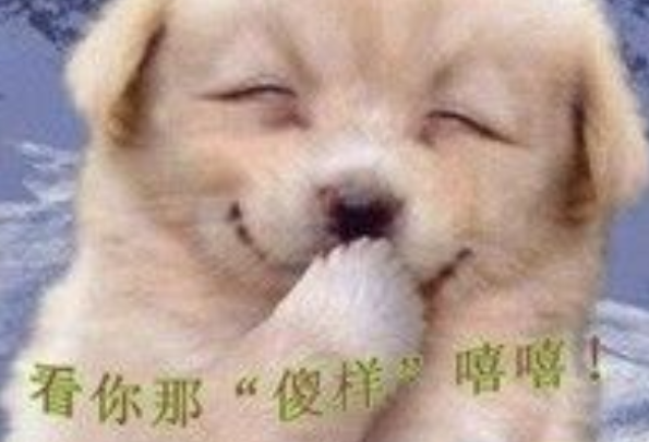 女孩捡回家的流浪小奶狗，狗狗歪着脑袋捂嘴偷笑：你捡到宝了