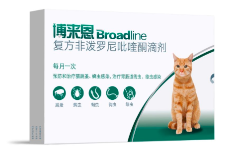 如何驱灭猫寄生虫,博来恩帮你轻松搞定 如何驱灭猫寄生虫,博来恩帮你轻松搞定