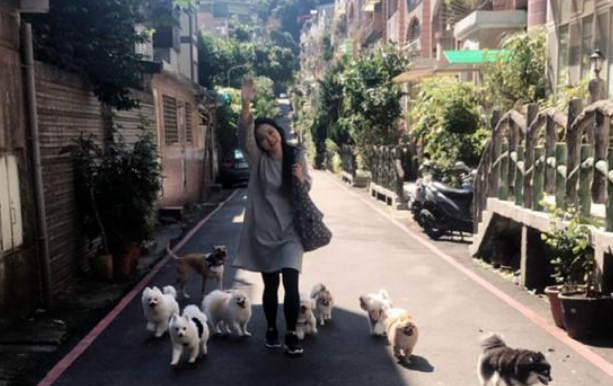 突发火灾夺去9只爱犬生命，主人含泪发文提醒，用电安全很重要