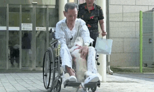 可怜狗狗不吃不喝家门口等待主人归来,惨遭遗弃还是另有隐情 可怜狗狗不吃不喝家门口等待主人归来,惨遭遗弃还是另有隐情