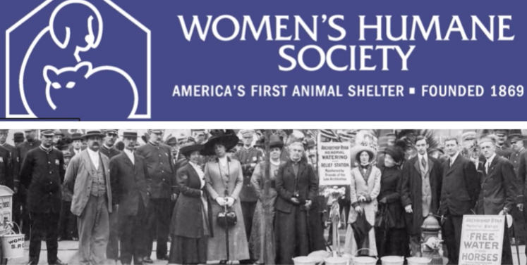 Caroline Earle White：美国第一个动物收容所是由150年前的她创立的