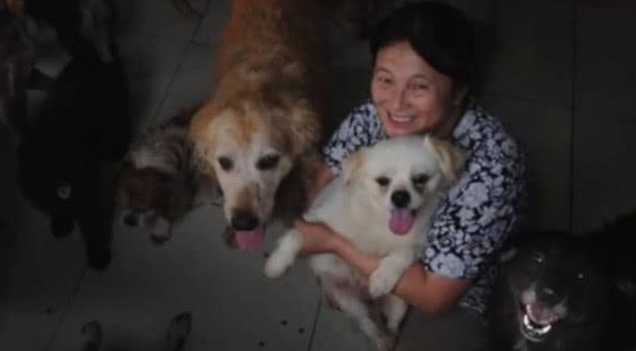 六旬阿姨收养数百只流浪狗,一坚持不懈就是说18年,她得话让人钦佩! 六旬阿姨收养数百只流浪狗,一坚持不懈就是说18年,她得话让人钦佩!